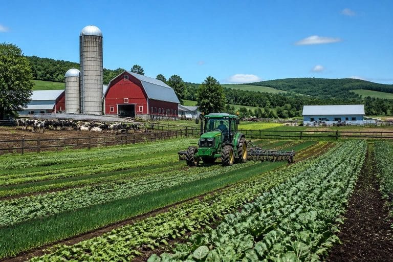 découvrez simagri, le jeu de simulation agricole en ligne gratuit qui vous offre une expérience réaliste de gestion d'exploitation agricole. cultivez, élevez et gérez votre ferme comme un vrai agriculteur !